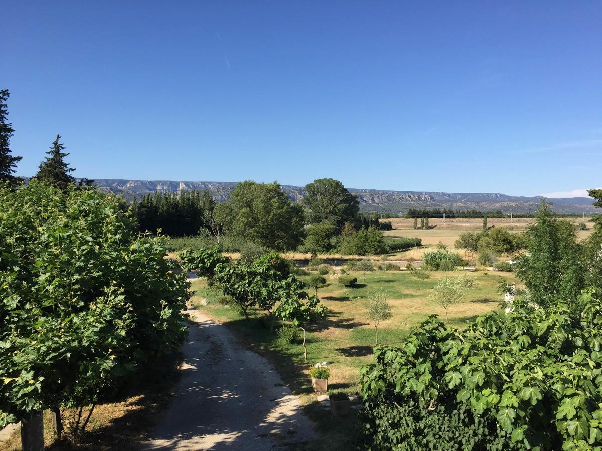 Auberge Les Olivades Mallemort Dış mekan fotoğraf
